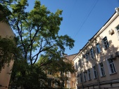 Furshtatskaya 16. Long Term Rental in St. Petersburg